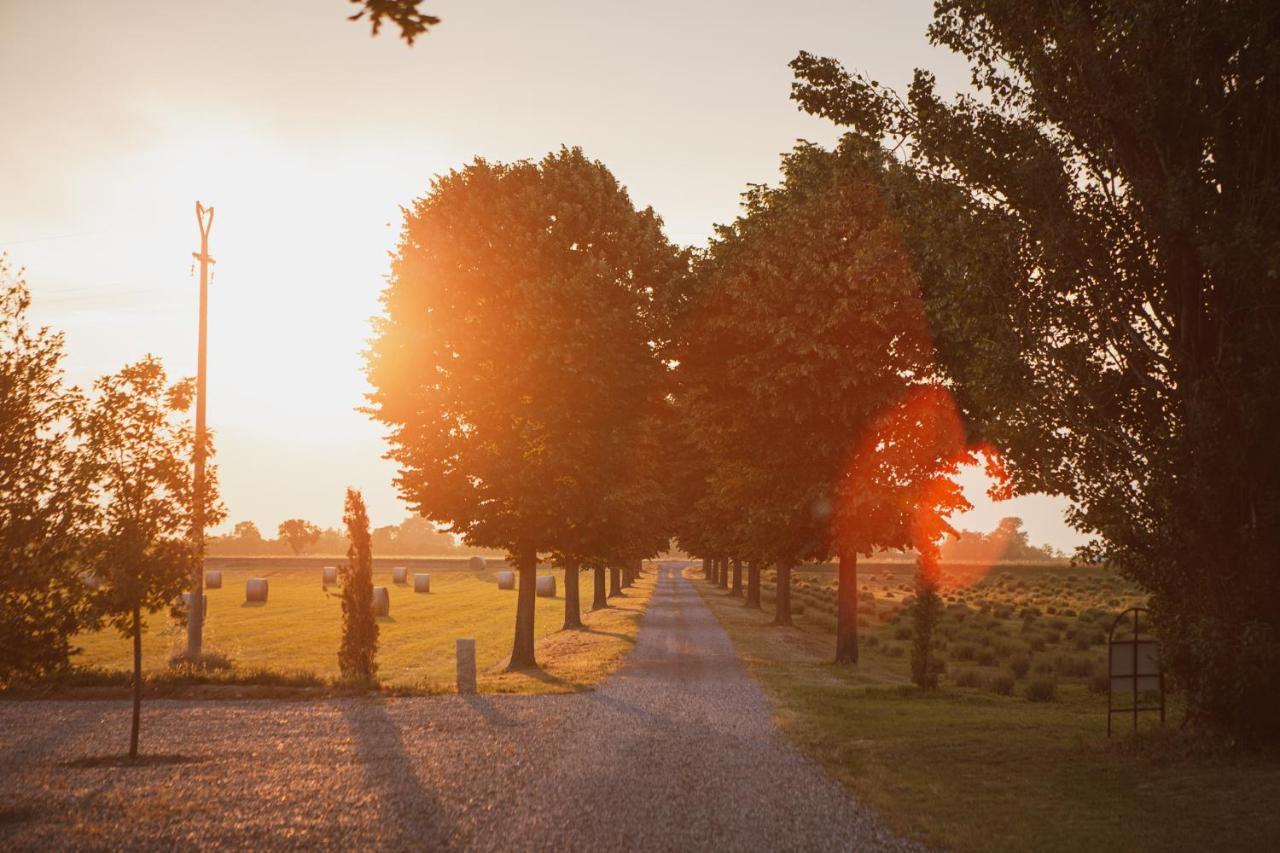 Agriturismo Il Capitolo Carpaneto Piacentino Eksteriør bilde